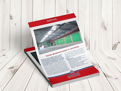 Листовки и флаеры — пример №3